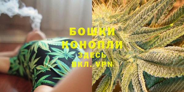 СК Инта