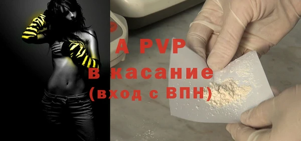 индика Балабаново