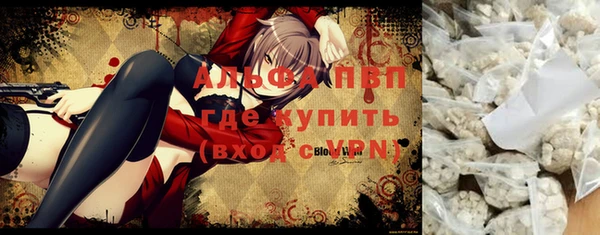 бошки Белокуриха