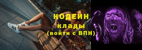 бошки Белокуриха