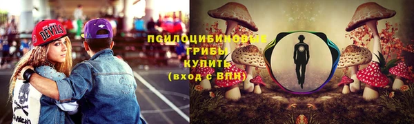 бошки Белокуриха