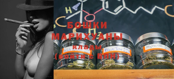 бошки Белокуриха