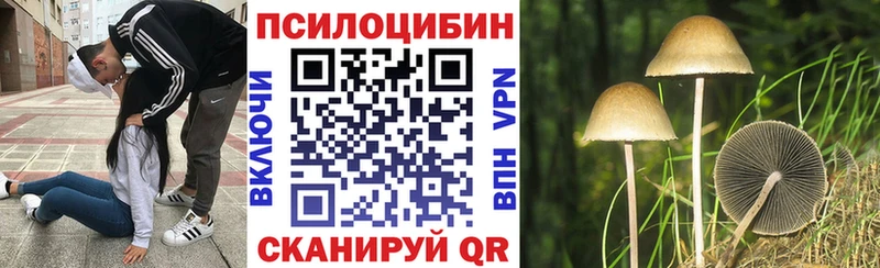 МЕГА ССЫЛКА  Валуйки  Псилоцибиновые грибы прущие грибы 